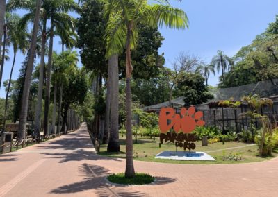 Bio Parque